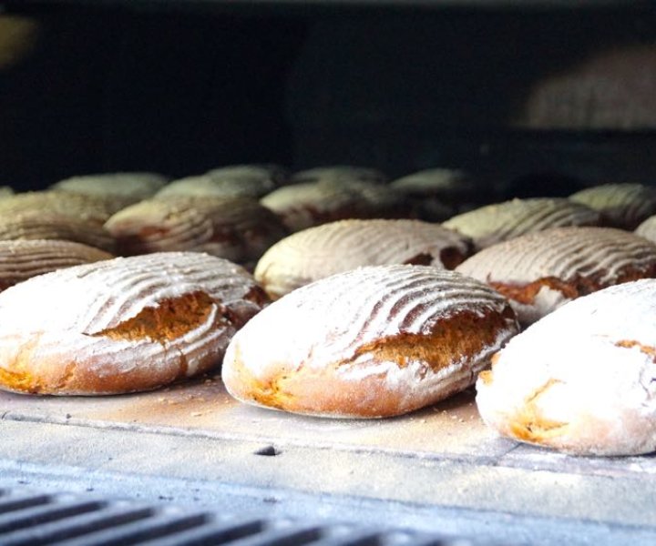 Otto Lohmayer – Bäckerei | Konditorei